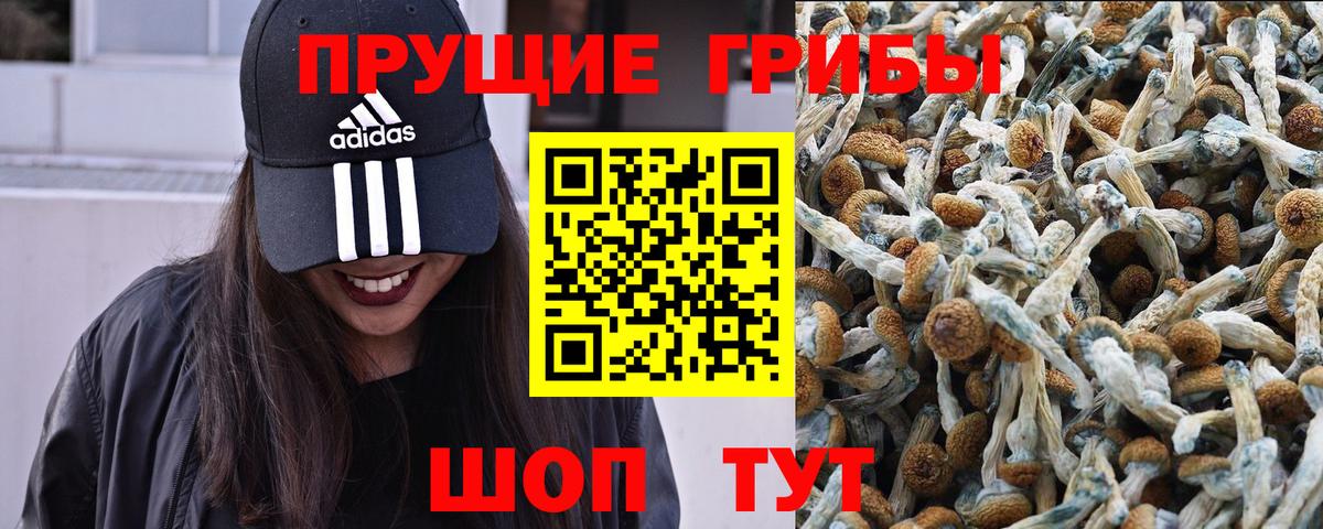 где найти наркотики  Галлюциногенные грибы GOLDEN TEACHER  Вход с VPN  Ижевск 
